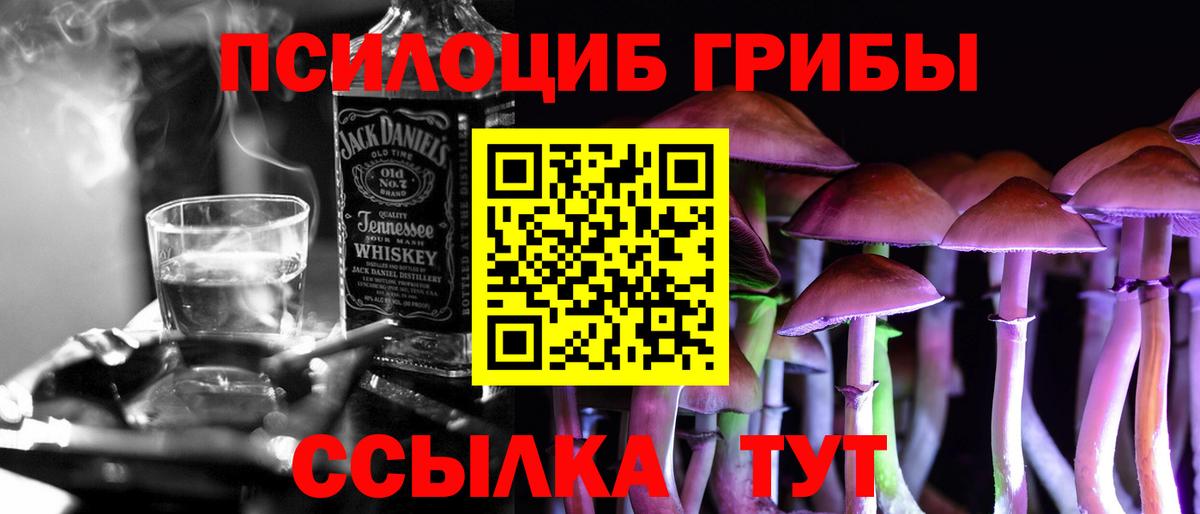 Псилоцибиновые грибы GOLDEN TEACHER  магазин продажи   Киржач  Вход с VPN 